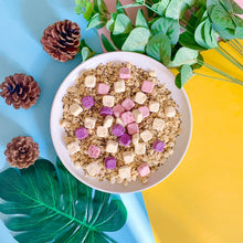 Load image into Gallery viewer, Nextfood Muesli - Fruity Yogis (Freeze-dried Yogurt, Chia Seed & Apple) 350g